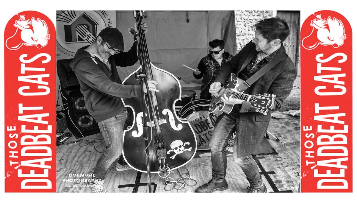 Those Deadbeat Cats at the Dock Tavern