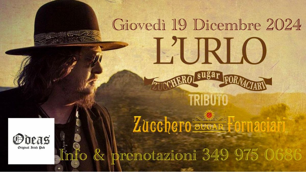 Odeas Irish Pub Zucchero Live Show