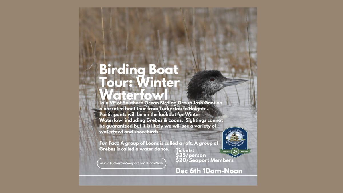 Birding Boat Tour: Winter Waterfowl