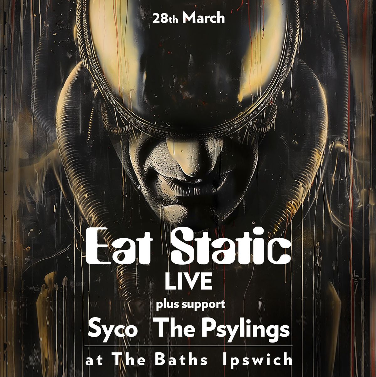 Eat Static \/ Syco \/ The Psylings - The Baths, Ipswich