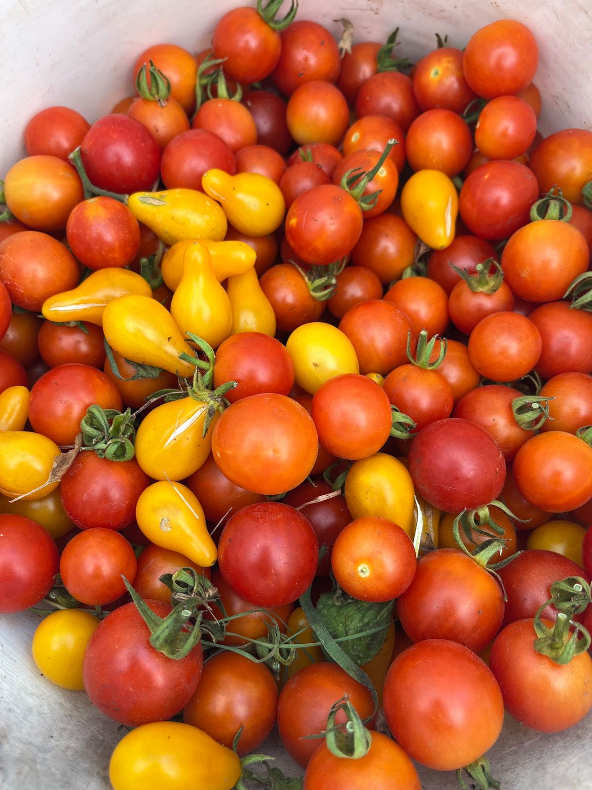 Rancho Cordova Certified Farmers' Market (Weekly)