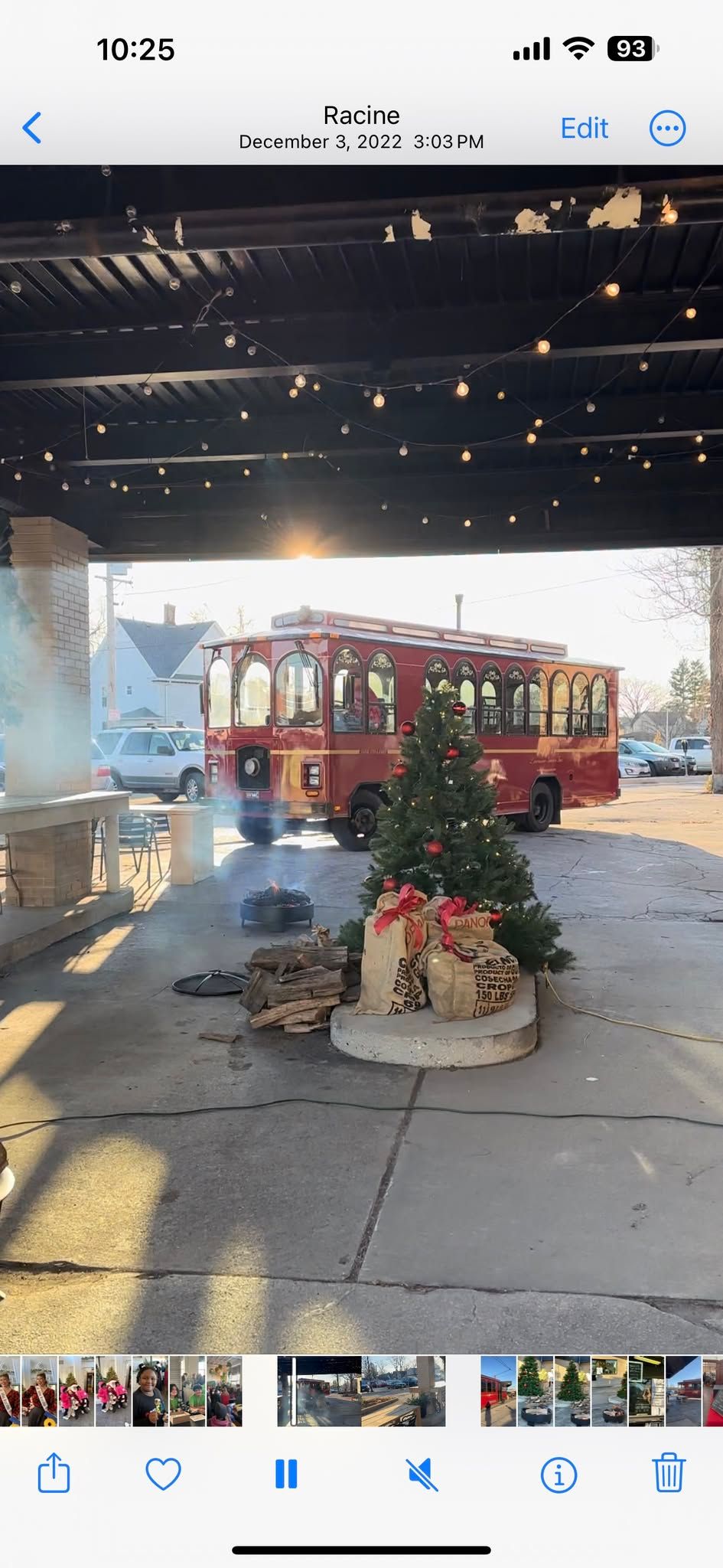 UPTOWN TREE FESTIVAL