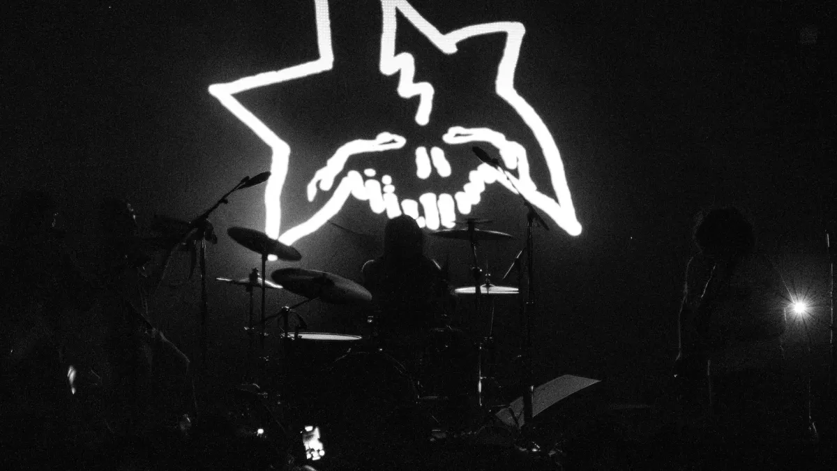 Mexican Slum Rats in Vancouver