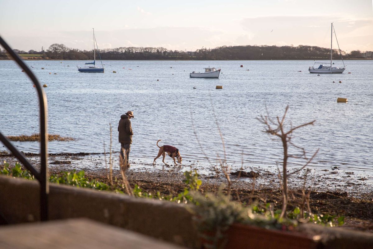 Christmas Charity Dog Walk