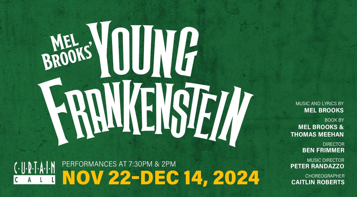 Mel Brooks' YOUNG FRANKENSTEIN THE MUSICAL