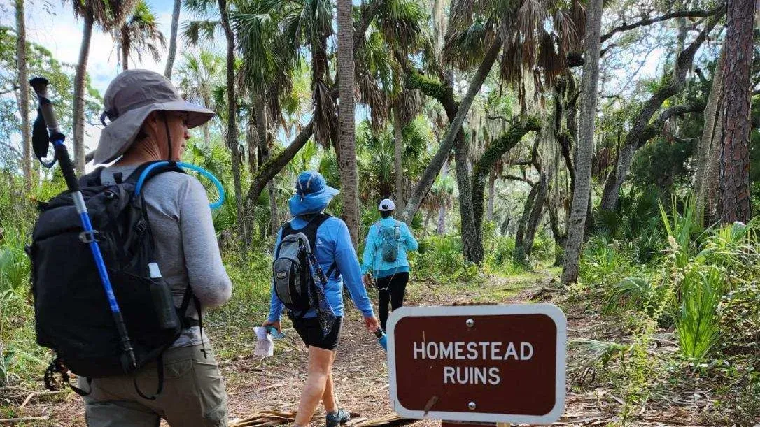 Walk to Caladesi Island!