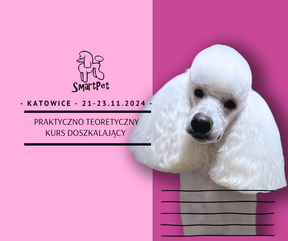 Kurs doszkalaj\u0105cy po podstawowym kursie dla groomer\u00f3w - SmartPet - KATOWICE