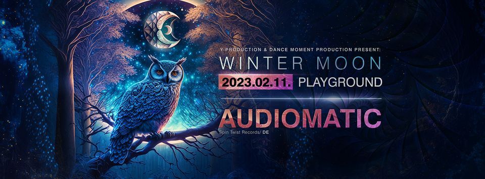 Winter Moon Festival w Audiomatic \/Spin Twist records\/ DE
