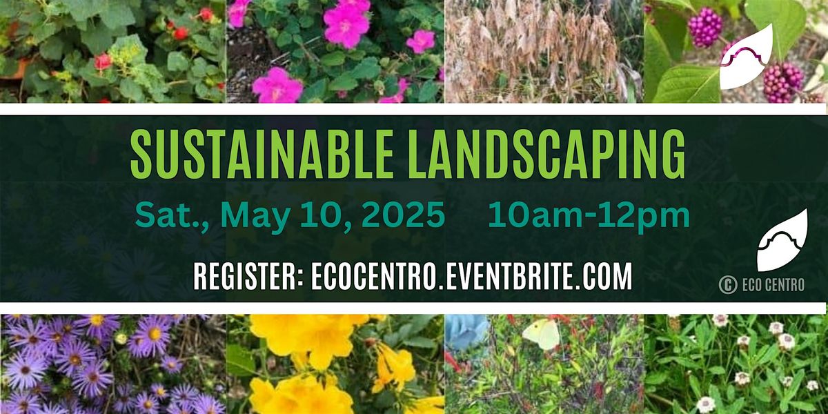 Sustainable Landscaping
