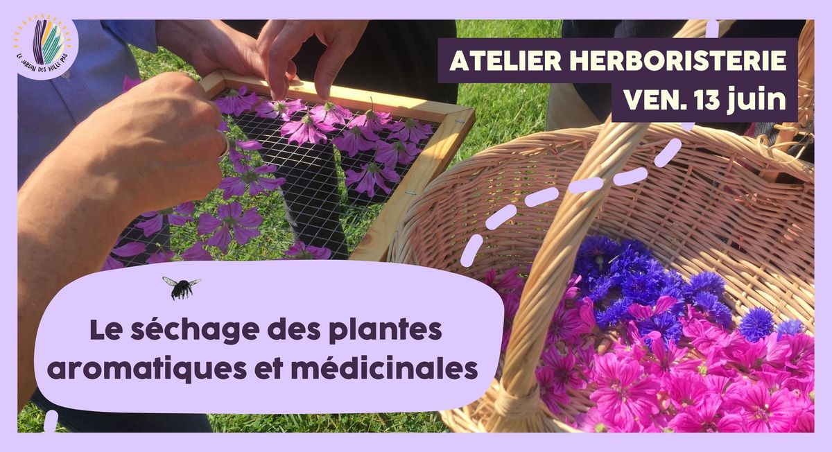 Atelier herboristerie : Le s\u00e9chage des plantes aromatiques et m\u00e9dicinales