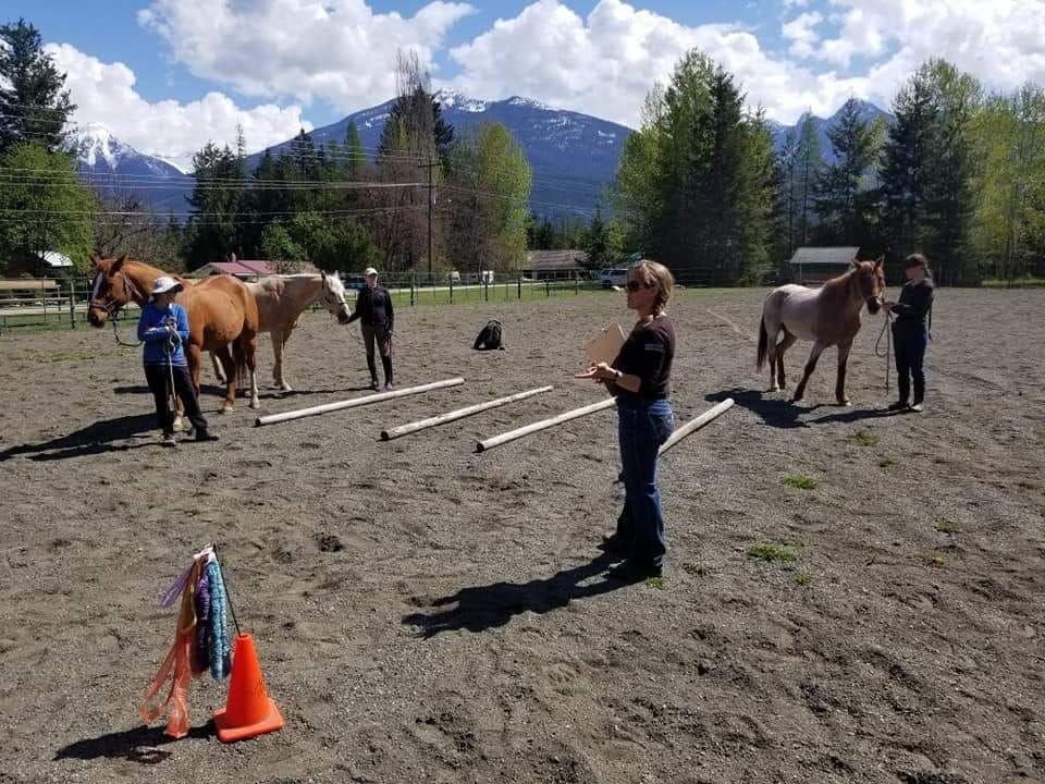 Kaslo Horsemanship Clinic