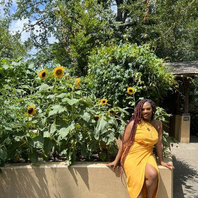 Premier Personal Growth Firm LLC