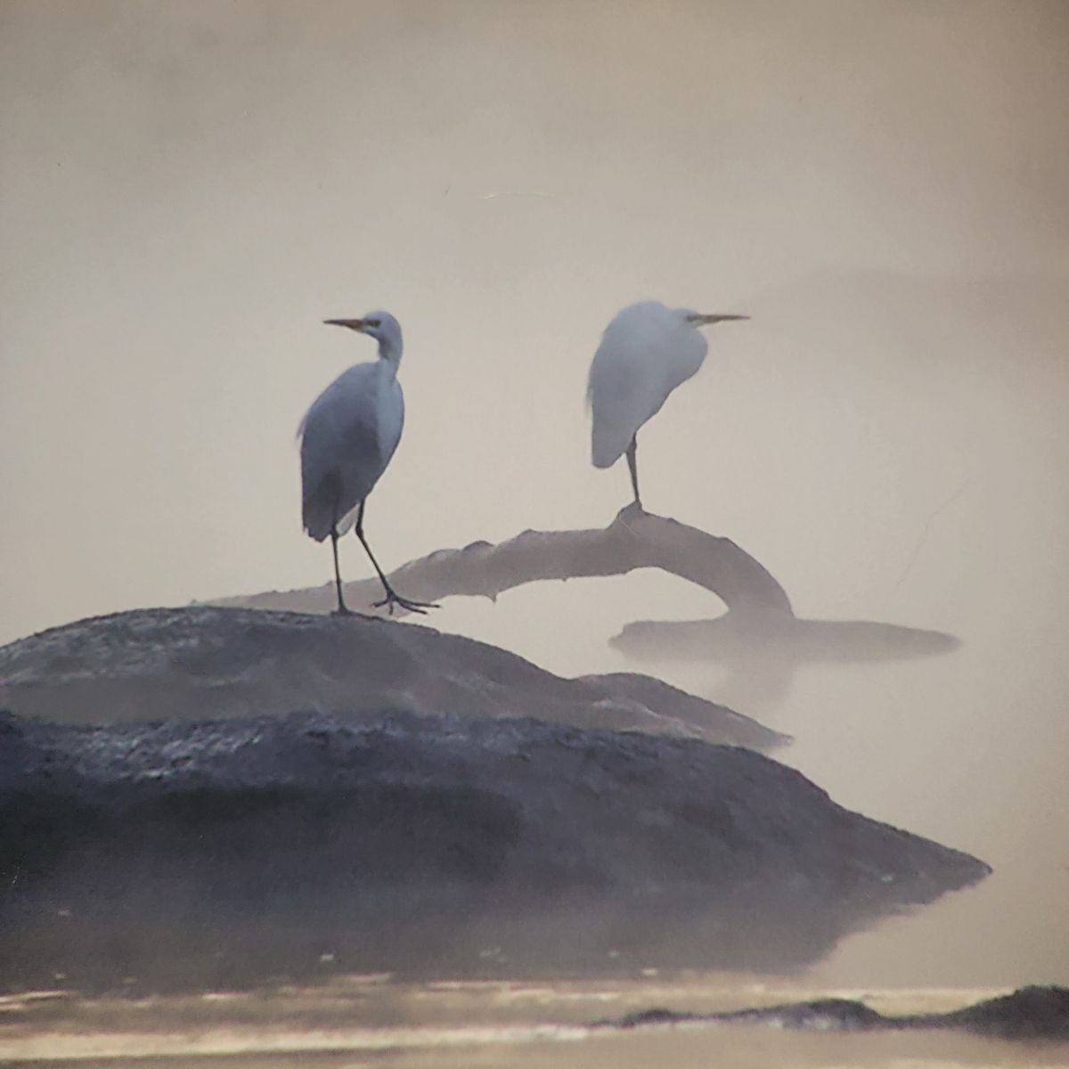 Scenes from the Catawba Photography Exhibit