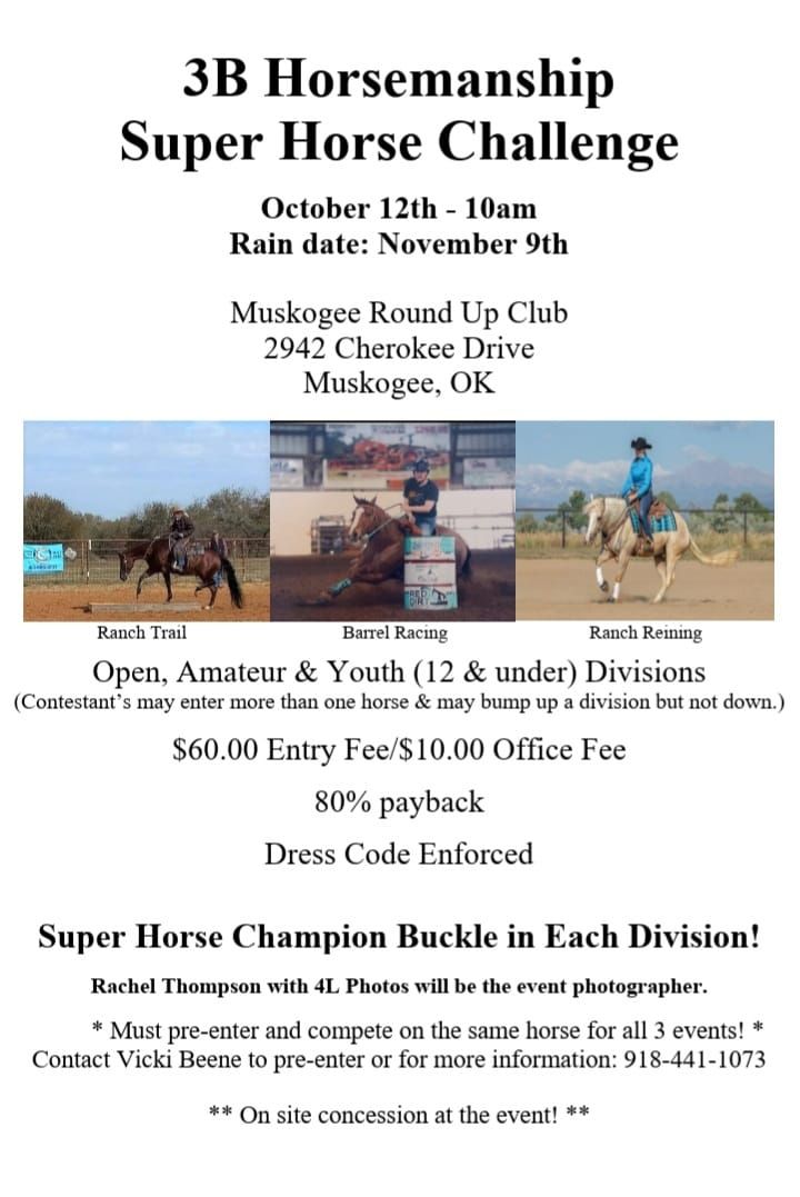 3B Horsemanship Super Horse Challenge