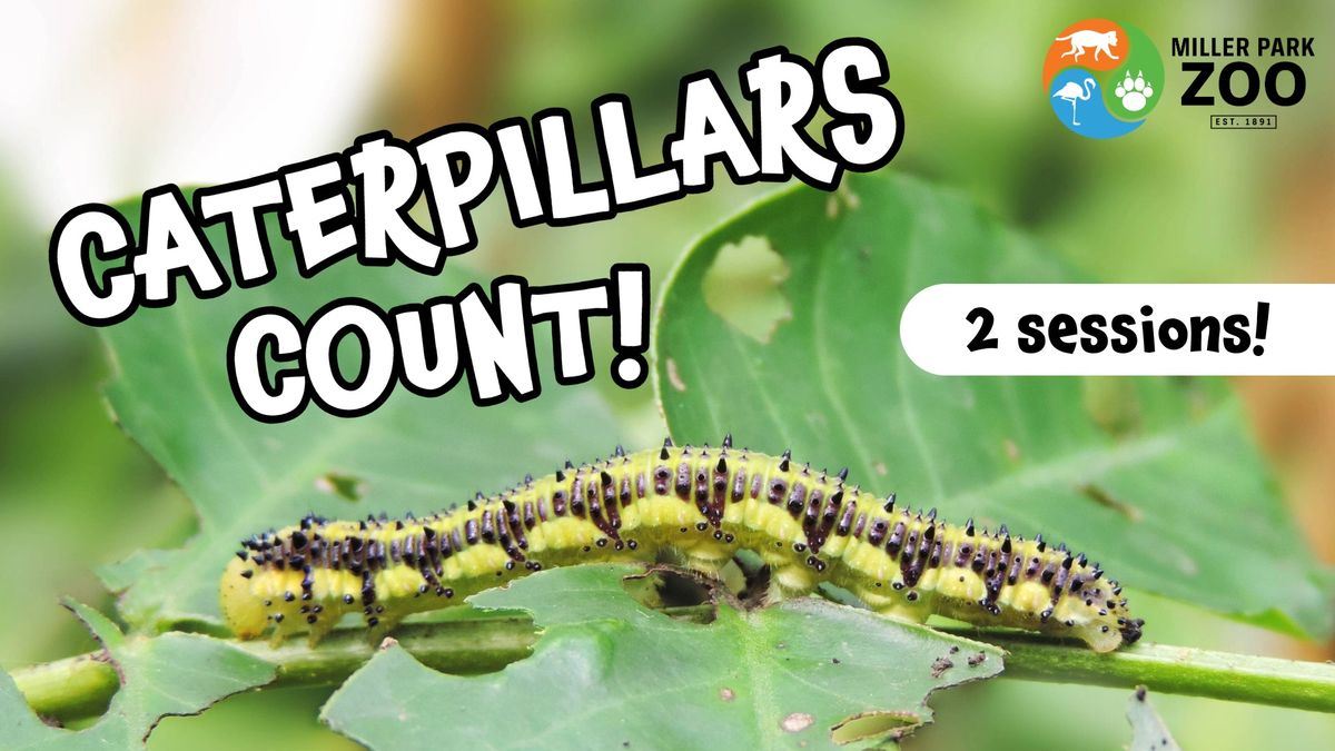 Caterpillars Count!