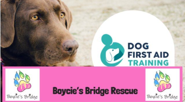 Dog First aid & Boycie's Bridge Dog Rescue Fund Raiser Evening - \u00a310.00