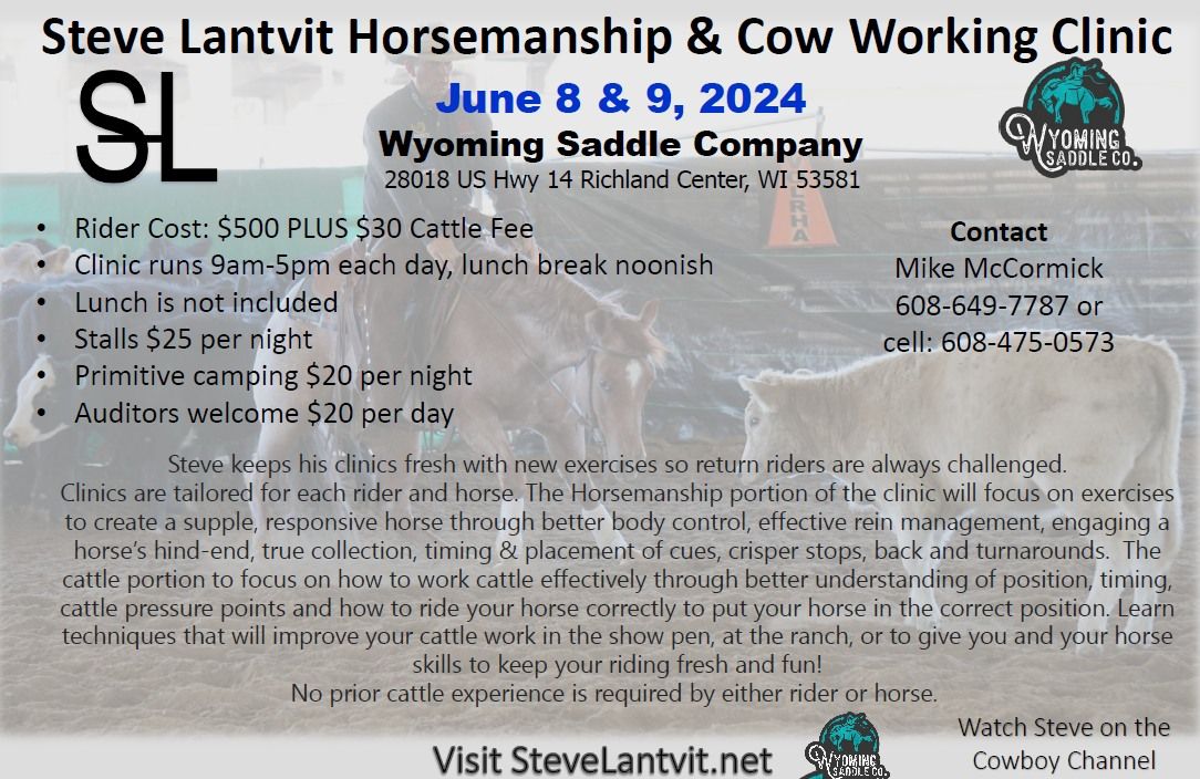 Steve Lantvit Horsemanship & Cow Working Clinic in Wisconsin