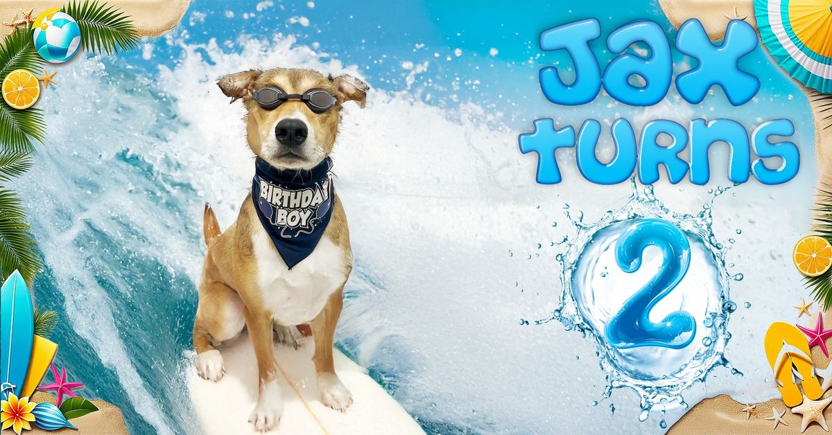 Surf's Up, Come Catch Waves with Jax!