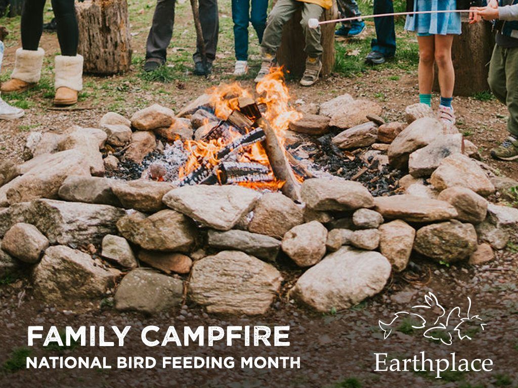 Family Campfire: National Bird Feeding Month