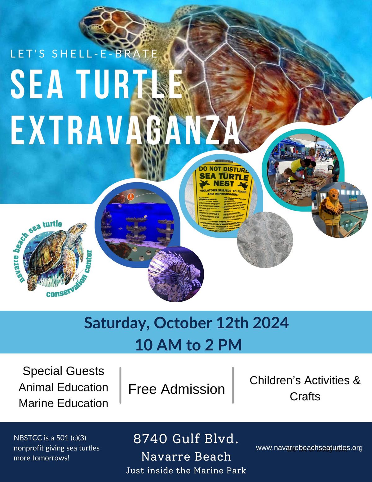 Sea Turtle Extravaganza