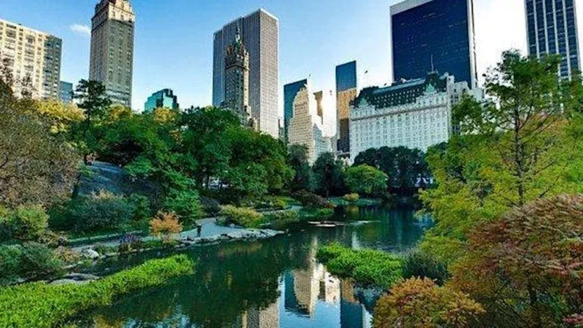 NYC Muslim Singles Matrimonial Event