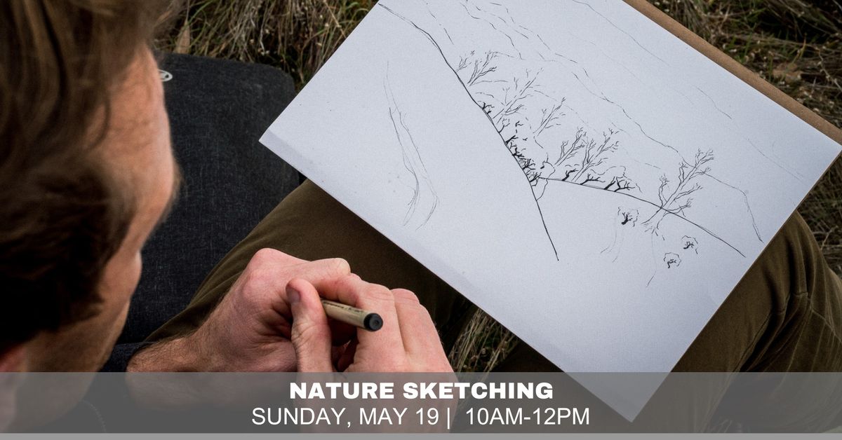 Nature Sketching for Adults