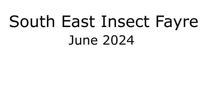 June 2025 Insect Fayre