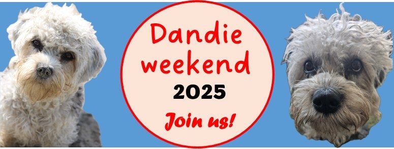 Dandie weekend 2025