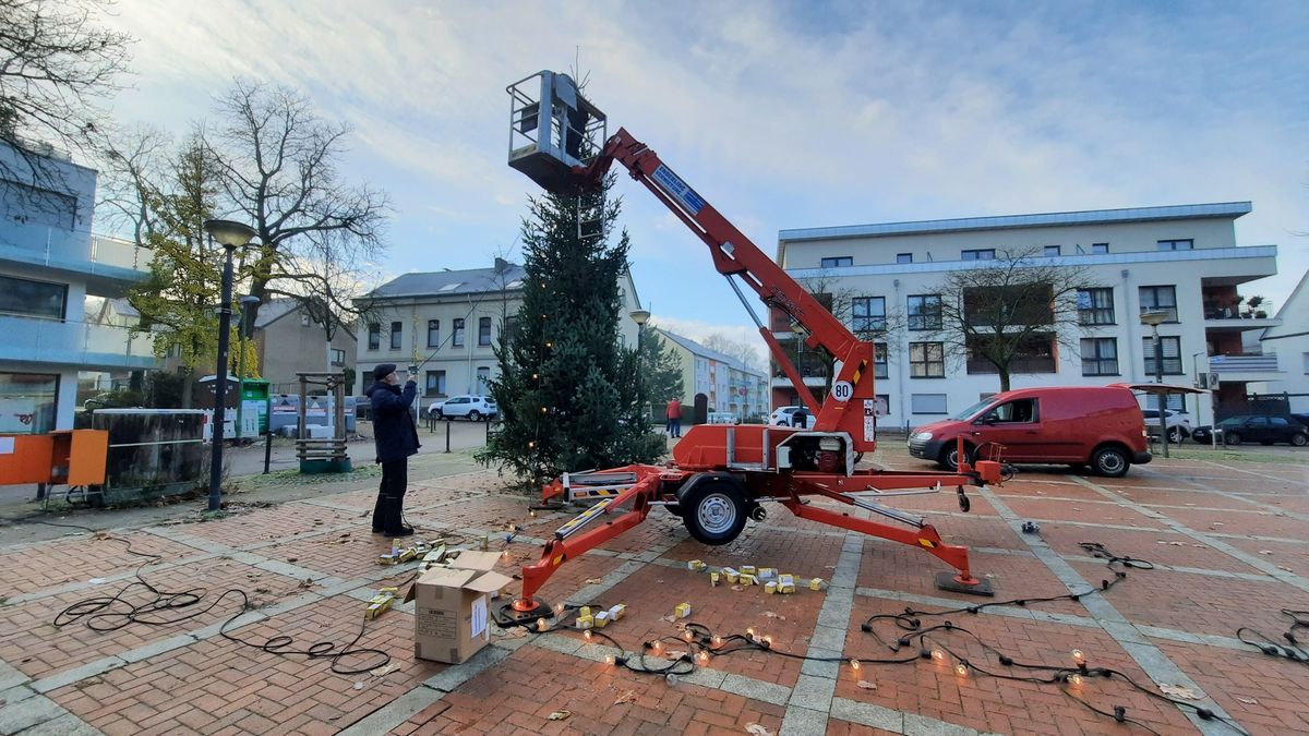 Aufstellung des Weihnachtsbaumes auf dem Frintroper Markt