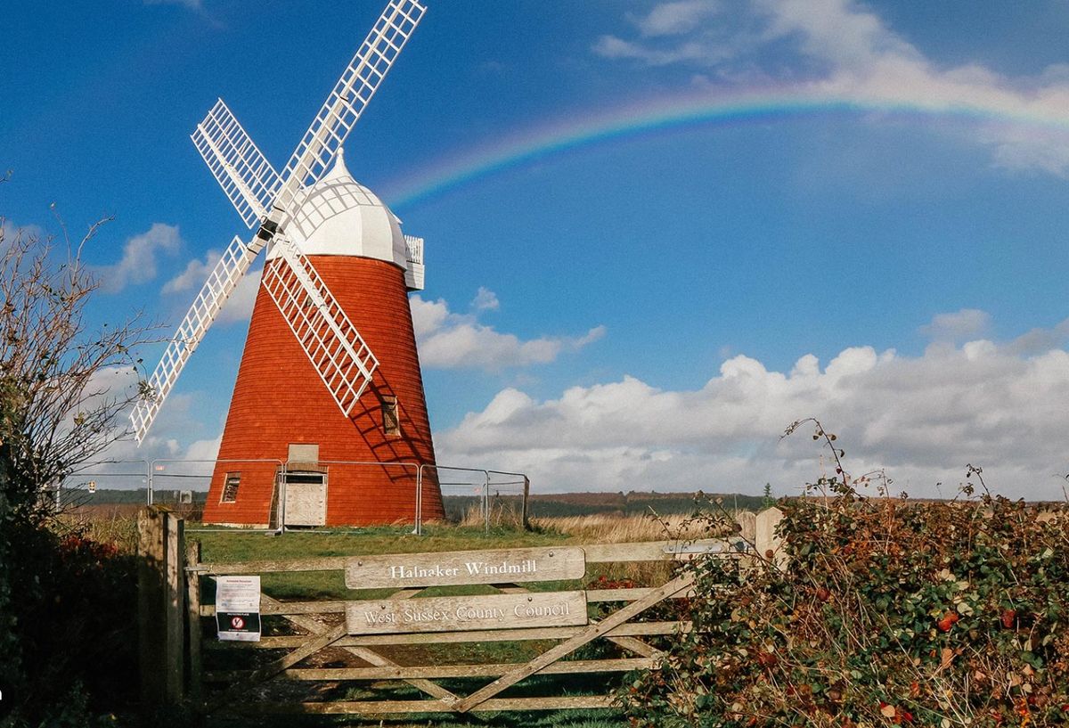 Networking in Nature- Networking walk to Halnaker Windmill