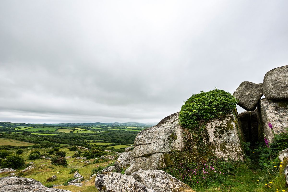 Helman Tor Walk with the Cornwall Wildlife Trust