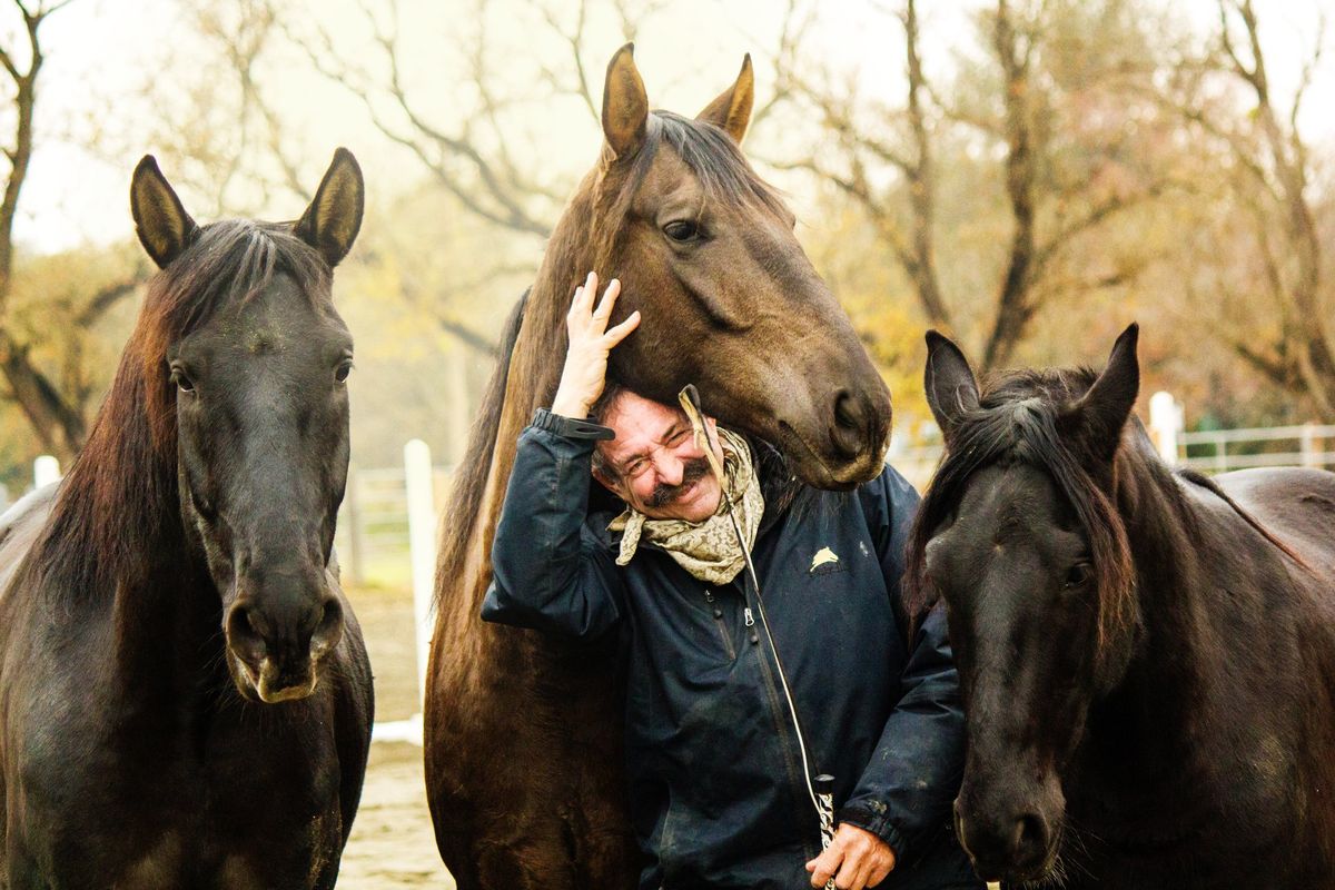 Horsemanship Workshop \u2013 Private & Small Group Lessons