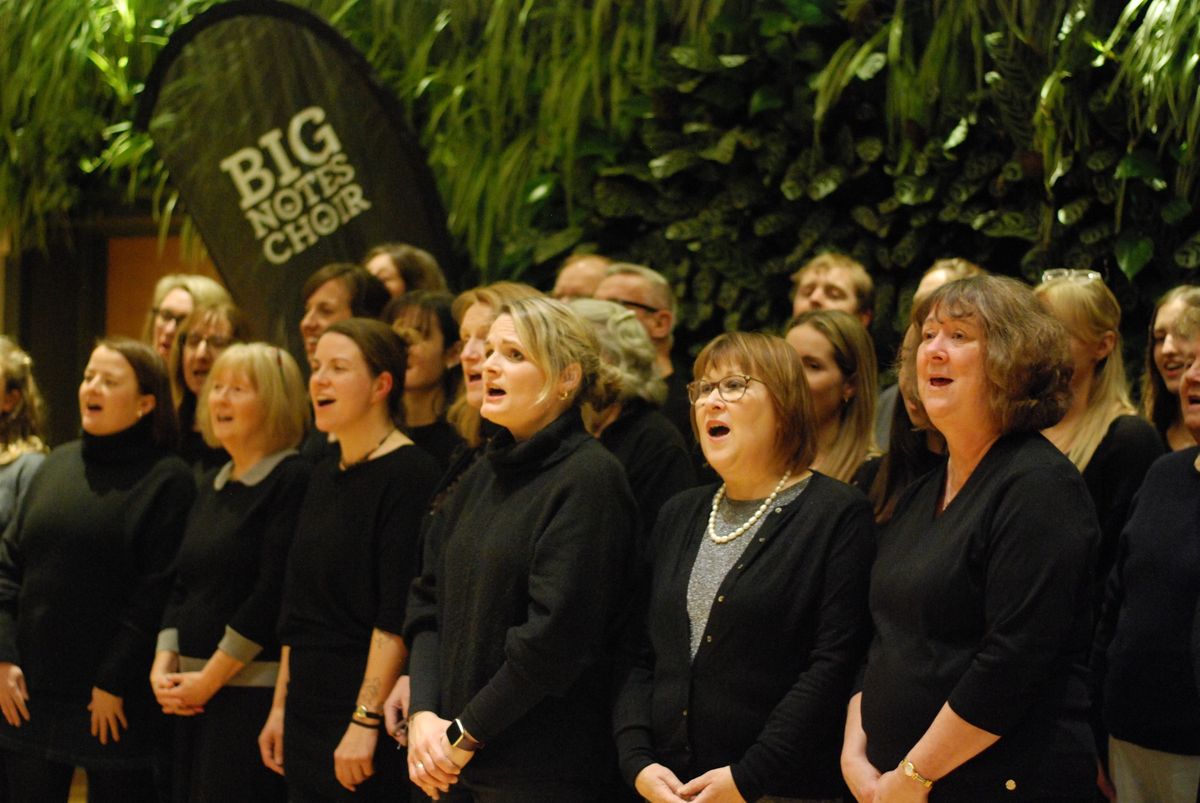 Music for Midsummer with Big Notes Choir Chichester 