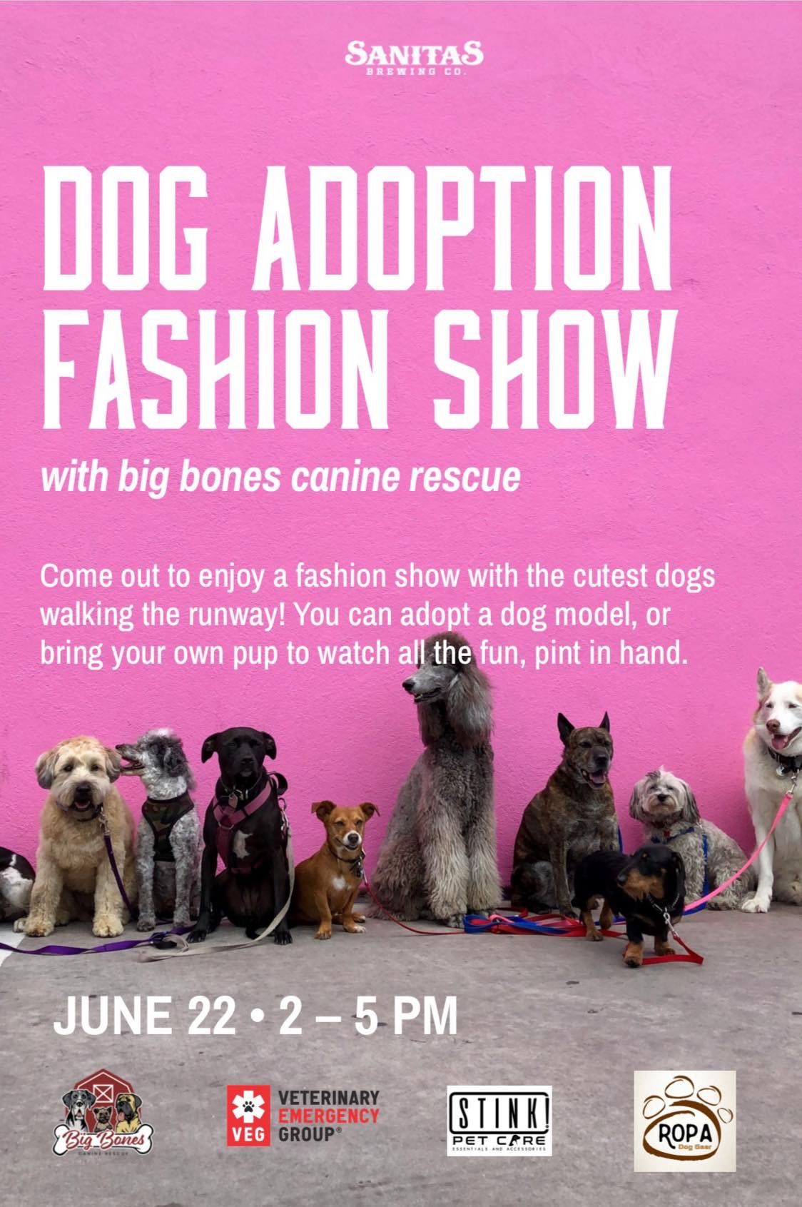 Dog Adoption Fashion Show 