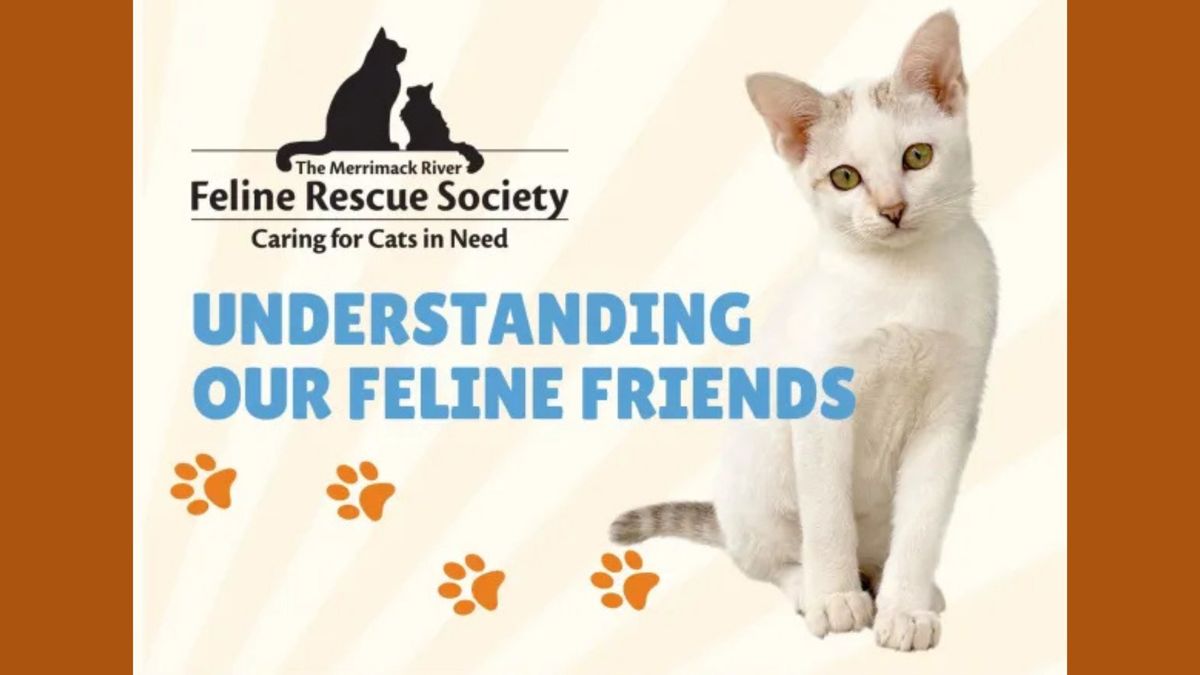 \u201cUnderstanding Our Feline Friends\u201d Presentation