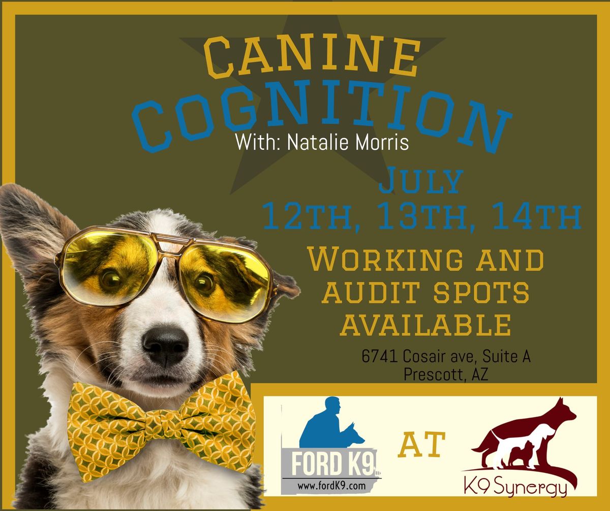 Canine Cognition with Natalie Morris 