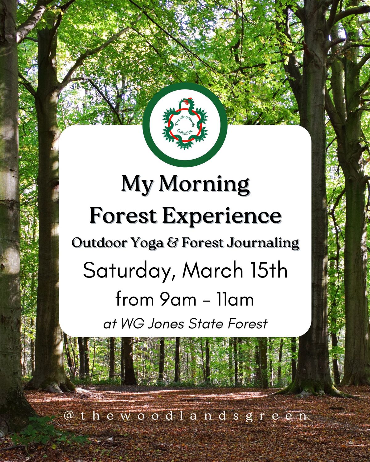 Outdoor Yoga & Forest Journaling: My Morning Forest Experience 