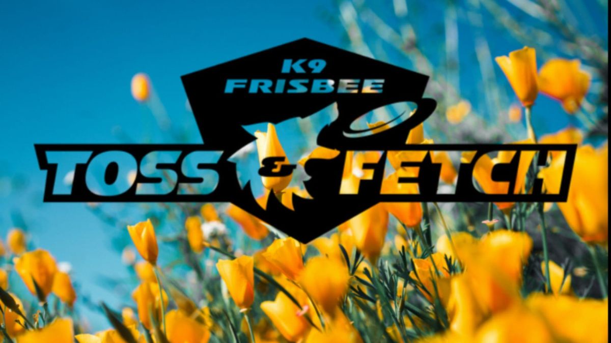 Monday Night Disc League K9 Frisbee T&F WW League 90:\/5 June