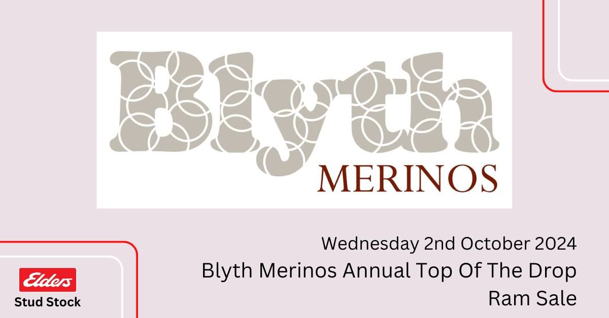 Blyth Merinos Annual Top of the Drop Ram Sale 