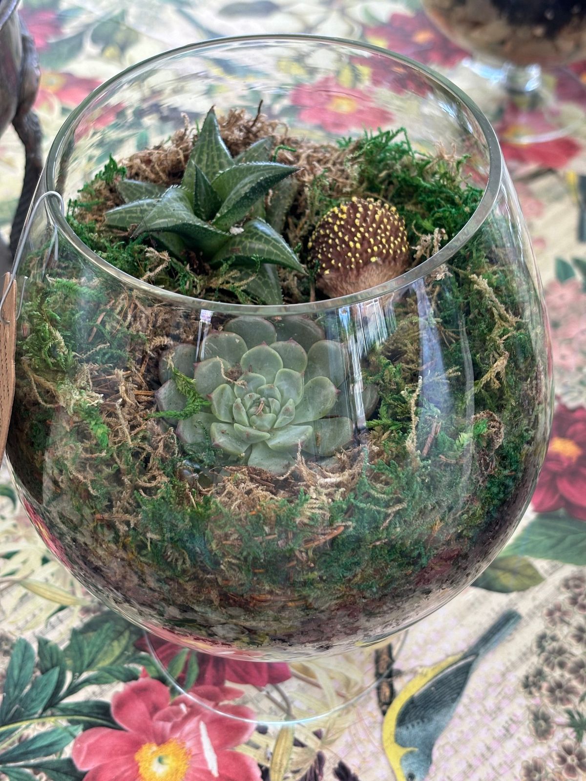 Create a Terrarium 