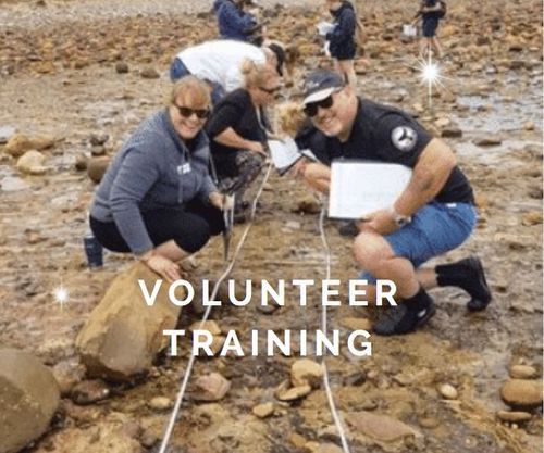 Intertidal Volunteer training and monitoring