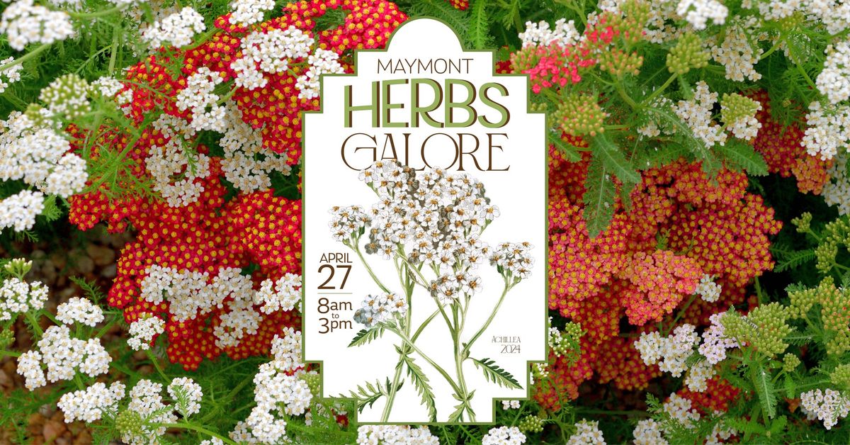 Herbs Galore