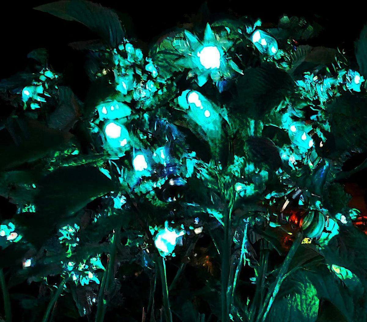 Blooms - An Interactive light Installation