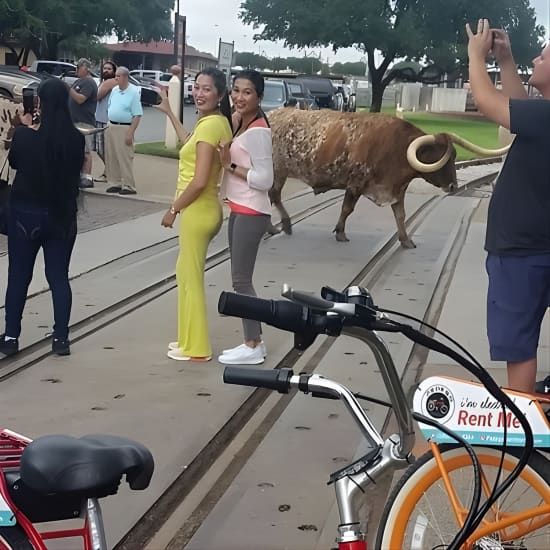 Bikes and BBQ: Electric Bike Tour of Fort Worth