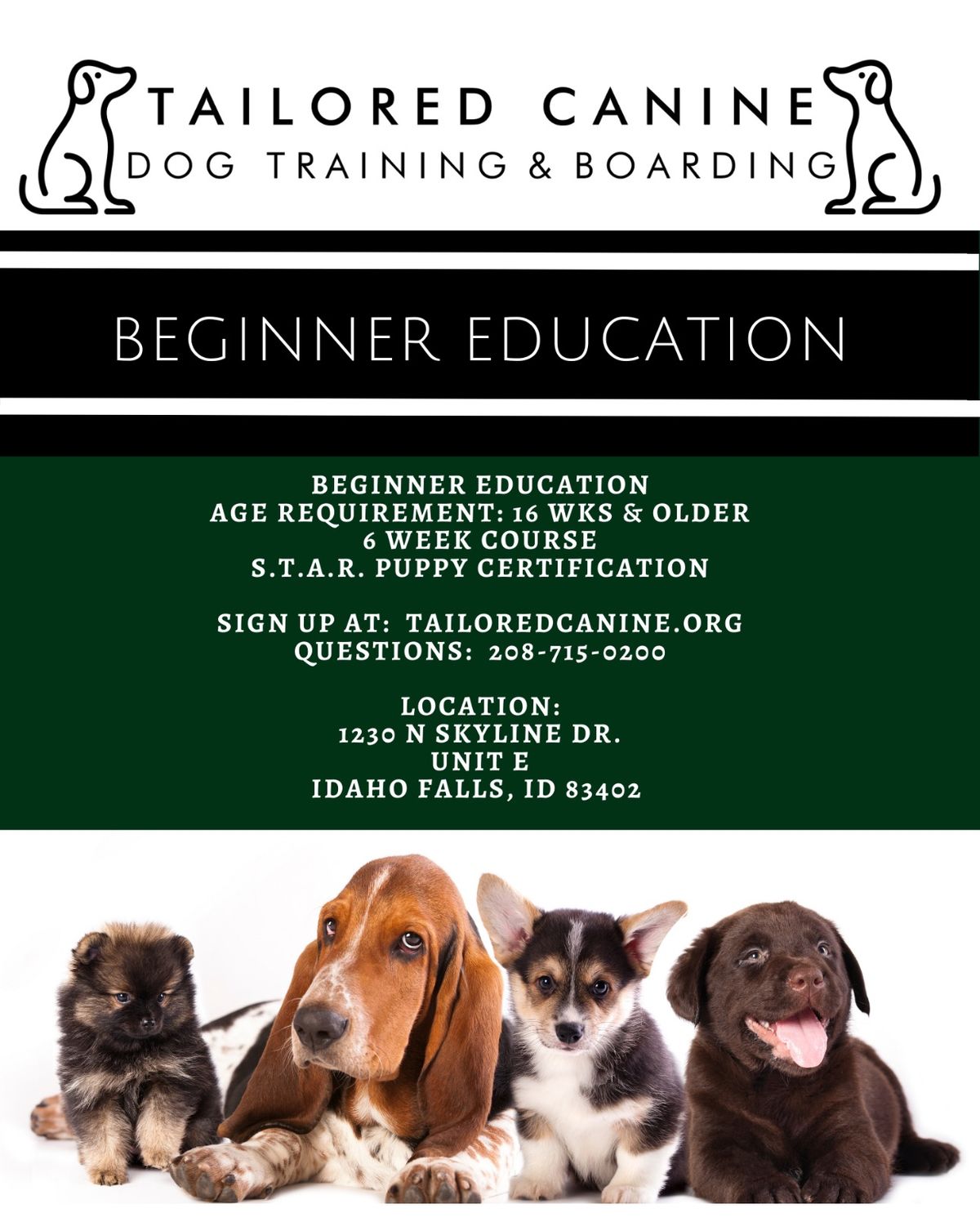 Beginner Group Class - Oct 25th to Dec 6th