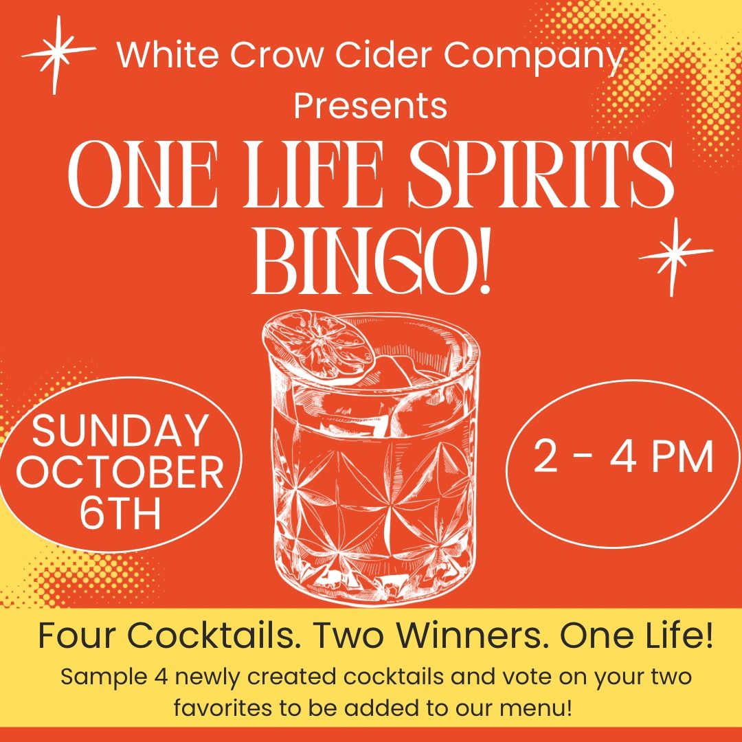 One Life Spirits Bingo