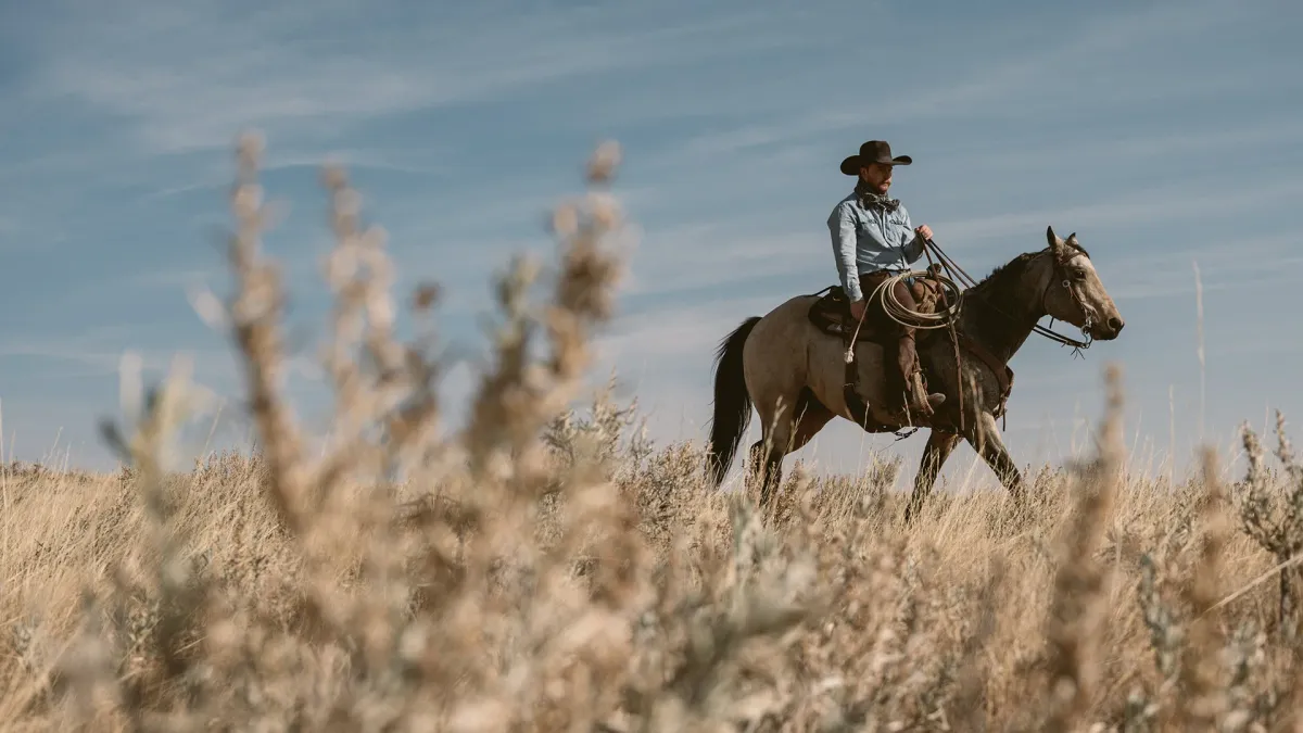 Colter Wall, Kade Hoffman in Las Vegas