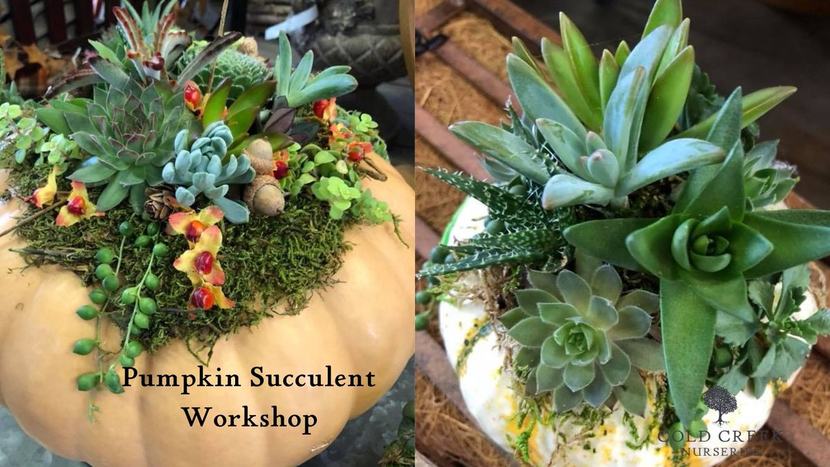 Pumpkin Succulent Workshop