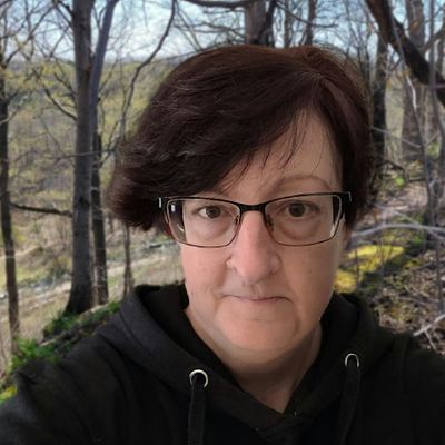 Cheryl-Ann Hills, Artist