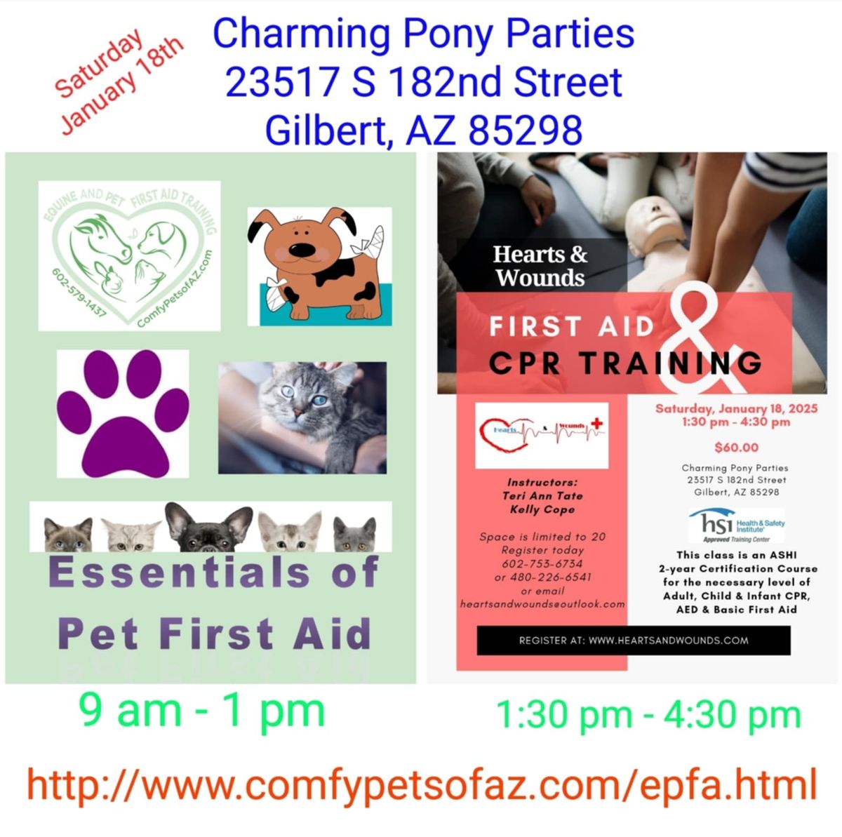 Pet & Human CPR\/First Aid Training 